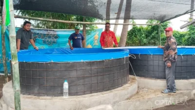 BUMDes Bangkit Berjaya