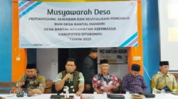 Kolom Cipta Desa musdes bantal02